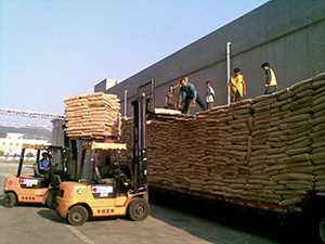 南京到和平整车运输-南京至和平整车货运服务